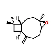 CAS:1139-30-6|KARIOFILÈN oksid