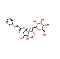 CAS19210-12-9 |Harpagoside