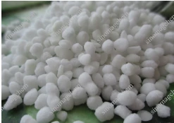 product-247-174 product-247-174